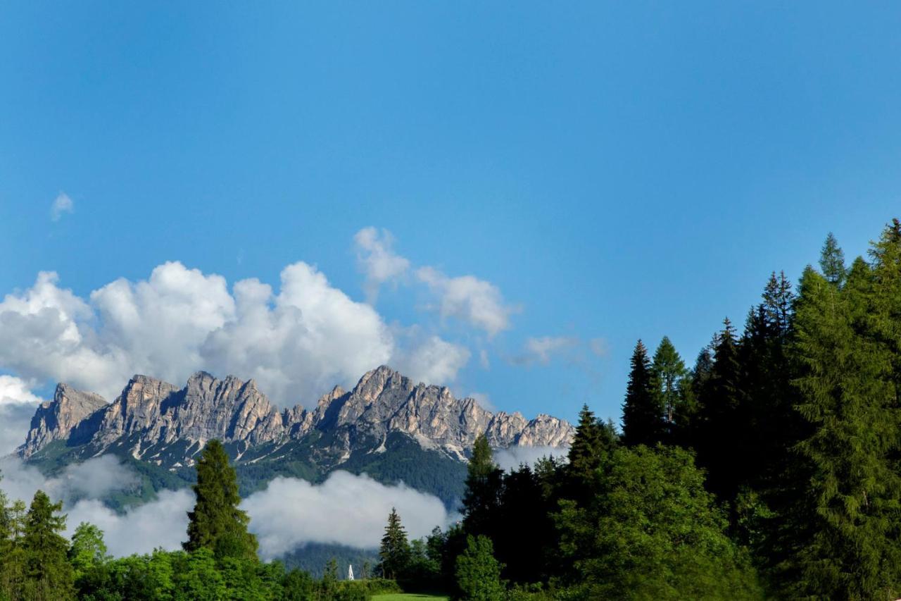 Chalet Del Capriolo Vodo Cadore エクステリア 写真